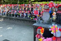 増上寺の写真・動画_image_602263