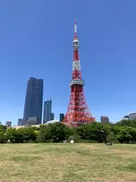 芝公園の写真・動画_image_602286