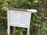 国定公園 雨晴海岸の写真・動画_image_602350