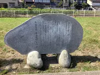 国定公園 雨晴海岸の写真・動画_image_602351