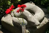 宝珠院の写真・動画_image_602392