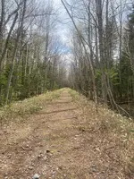 タウシュベツ川橋梁展望台の写真・動画_image_602653
