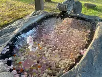 帯廣神社の写真・動画_image_602659