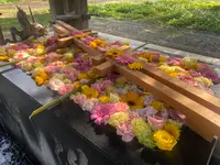 帯廣神社の写真・動画_image_602660