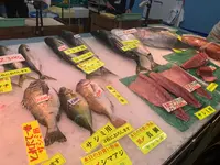 豊浜魚ひろばの写真・動画_image_602922
