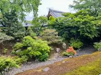 相国寺の写真・動画_image_603152