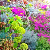 芝桜庭園樹木葬｜永代供養墓の写真・動画_image_603588