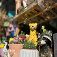 Pan Parisの写真・動画_image_603790