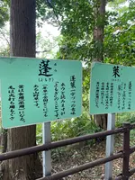 蓬莱橋の写真・動画_image_603837