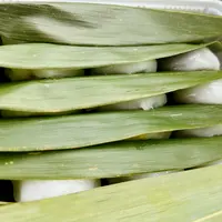 いがもちの里 さんべの写真・動画_image_603957