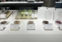 umami nutsの写真・動画_image_604667