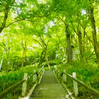 香嵐溪の写真・動画_image_605116