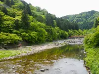 香嵐溪の写真・動画_image_605117