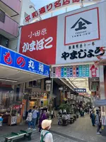 熱海仲見世通り商店街の写真・動画_image_605425