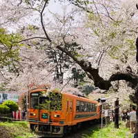 芦野公園駅の写真・動画_image_605570