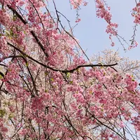 芦野公園駅の写真・動画_image_605571
