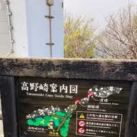 龍飛崎の写真・動画_image_605573