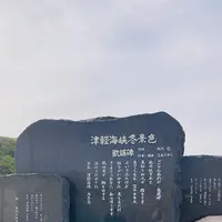龍飛崎の写真・動画_image_605578
