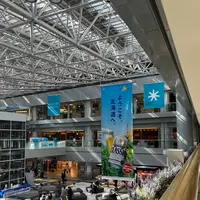 新千歳空港の写真・動画_image_606114