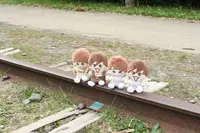 旧手宮線の写真・動画_image_606137