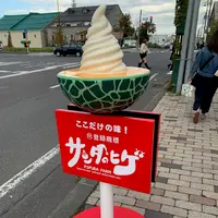 小樽出抜小路の写真・動画_image_606429