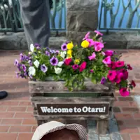 小樽運河の写真・動画_image_607067