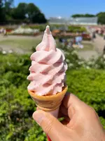 神代植物公園の写真・動画_image_607123