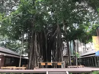 台中文学館の写真・動画_image_607210