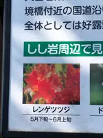 しし岩の写真・動画_image_608063