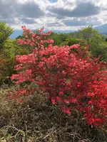 しし岩の写真・動画_image_608066