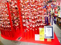 地球屋の写真・動画_image_608077