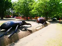 華蔵寺公園の写真・動画_image_608087