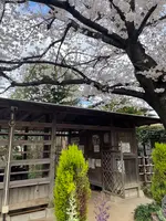 私の庭みんなの庭の写真・動画_image_608290
