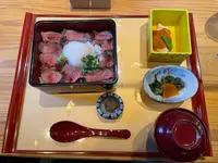 熊本城桜の小路の写真・動画_image_608307