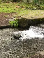 三分一湧水公園の写真・動画_image_608349