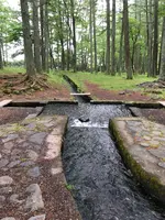 三分一湧水公園の写真・動画_image_608350