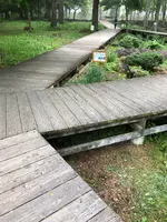 三分一湧水公園の写真・動画_image_608351