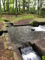 三分一湧水公園の写真・動画_image_608352