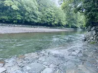 伊勢神宮の写真・動画_image_608766
