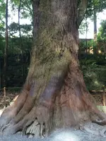 伊勢神宮の写真・動画_image_608767