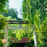 大崎八幡宮の写真・動画_image_609971