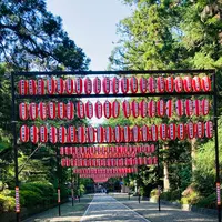 大崎八幡宮の写真・動画_image_609972