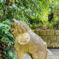 大崎八幡宮の写真・動画_image_609973