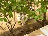 La Cigogneの写真・動画_image_609997
