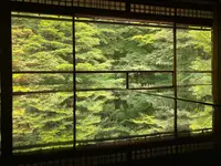 瑠璃光院の写真・動画_image_610046