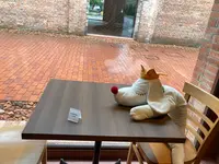 弘前れんが倉庫美術館の写真・動画_image_610154