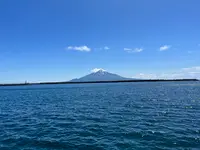 花文の写真・動画_image_611724