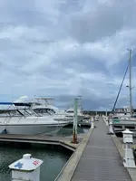 Agat Marinaの写真・動画_image_612619