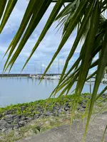 Agat Marinaの写真・動画_image_612620