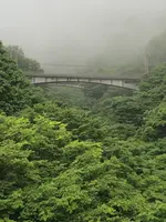 めがね橋の写真・動画_image_612869